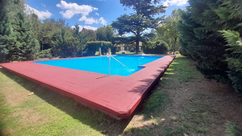 Etapa 16 de la restauración de pileta en estancia rural